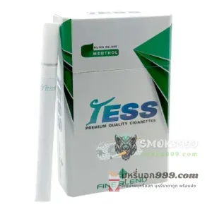 Tess เขียว (ซองแข็ง) เทสส์